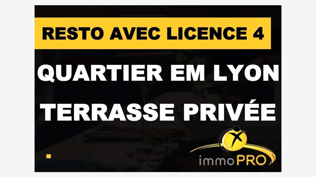 AV affaire propre et fonctionnelle à Lyon