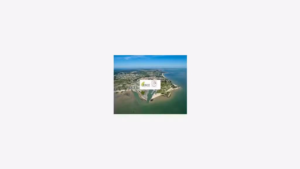 Vente restaurant bar à Marennes-Hiers-Brouage