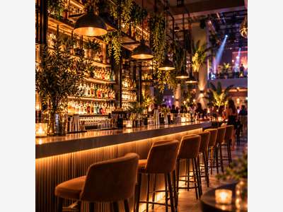 Vente bar événementiel licence IV à Marseille