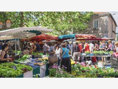 Vente bar à thème au centre de Montbrison