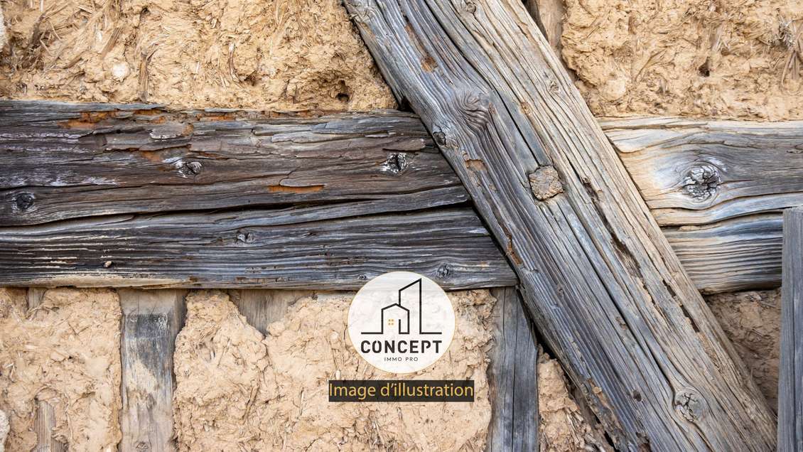 Vente restaurant atypique licence IV terrasses 29