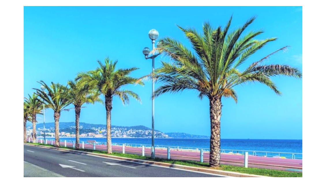 Vente bar brasserie snack 50m² à Nice front de mer