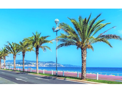 Vente Bar - Brasserie - Tabac à Nice