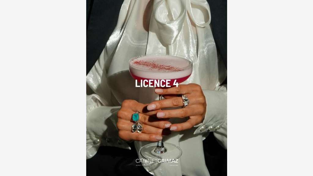 Vente licence IV débit de boissons à Nice