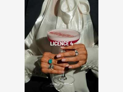 Vente licence IV débit de boissons à Nice