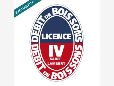 Vente brasserie d'angle licence 4 extraction 75015