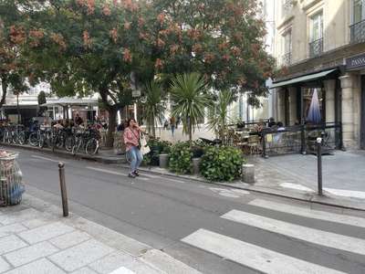 AV bar lic IV 36 cvts + 10 en terr + extract Paris