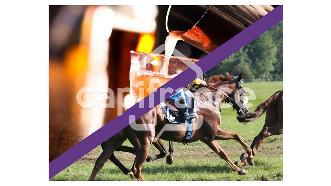 Bar tabac FDJ PMU à vendre en Finistère Sud