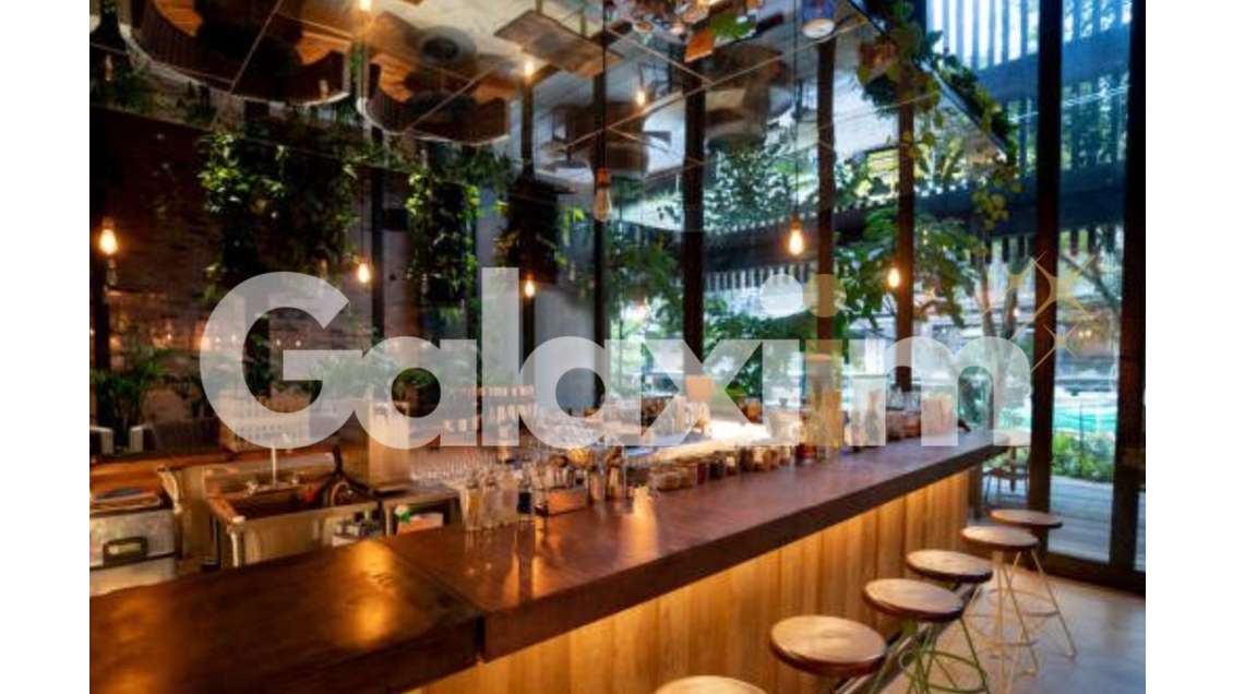 Vente murs et fonds restaurant bistrot licence IV