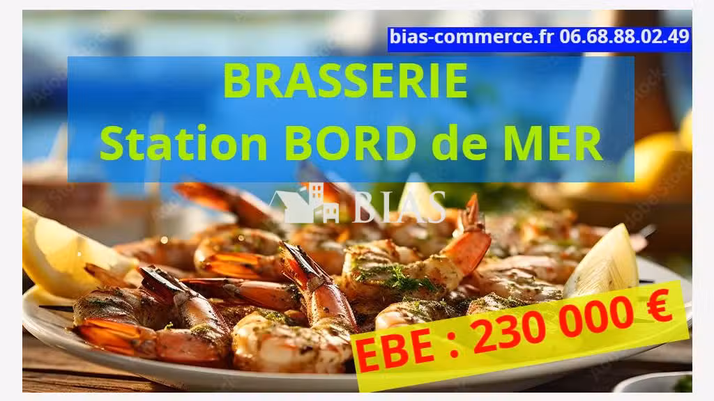 A vendre brasserie en station bord de mer dept 76