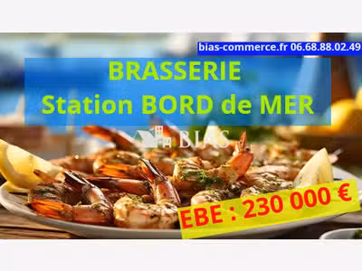 A vendre brasserie en station bord de mer dept 76