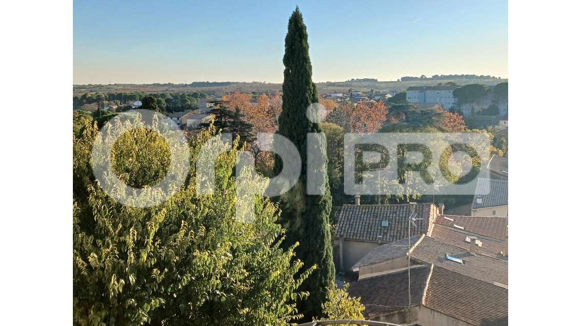 Vente bar restaurant avec terrasse + log à Servian