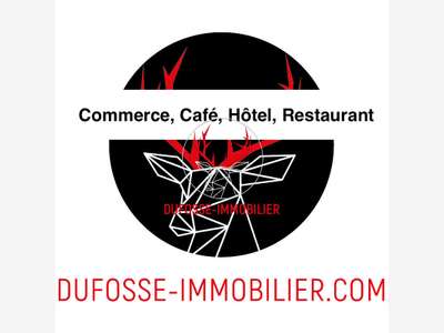 AV bar bistrot avec terrasse à Villefranche/Saône