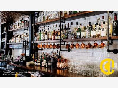 A vendre bar restaurant avec terrasse Sud Lyon