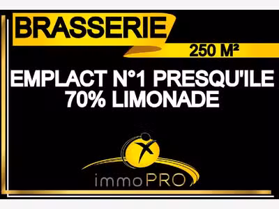 Vend bar restaurant emplacement n°1 Presqu'ile
