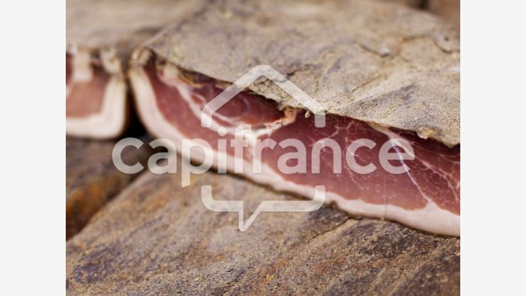 Boucherie charcuterie à vendre proche Saintes (17)