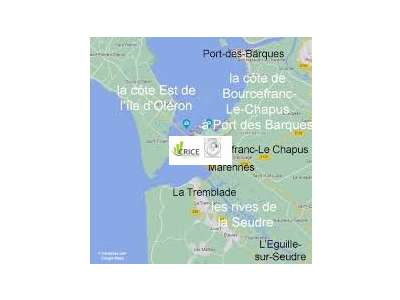 Vente Boucherie - Charcuterie dans le Poitou-Charentes