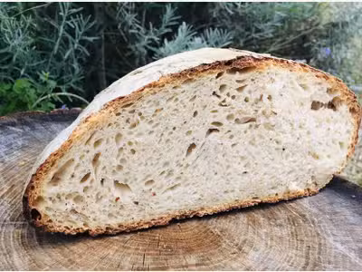 Vente boulangerie axe passant Bassin Cap Ferret