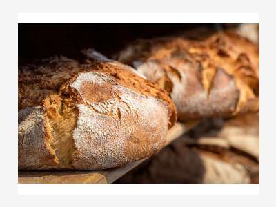 Boulangerie en vente avec grand logement 43