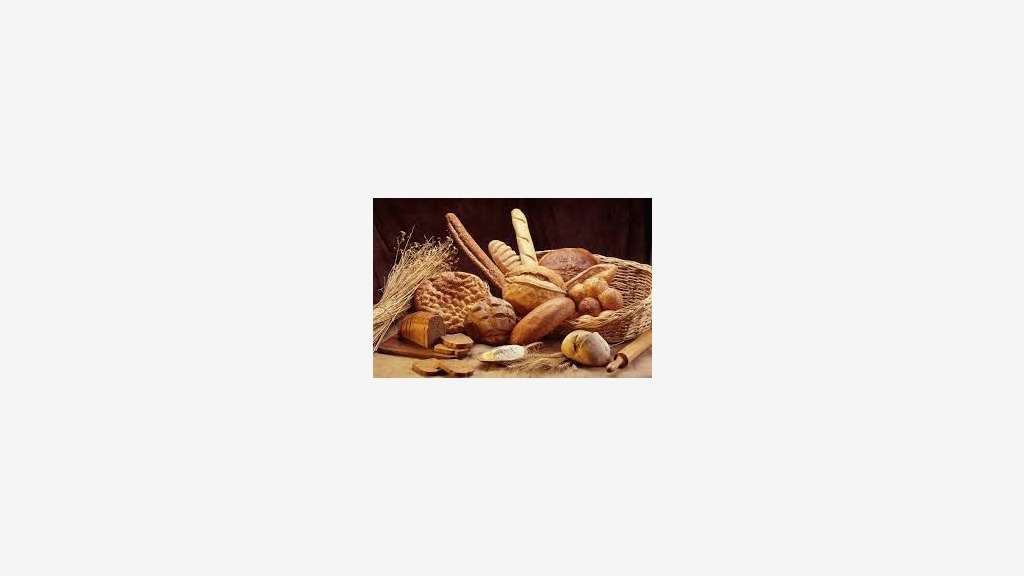 Vente boulangerie pâtisserie prox canal du midi 11