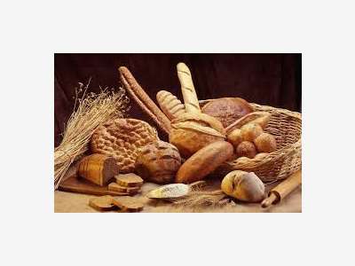 Vente boulangerie pâtisserie prox canal du midi 11