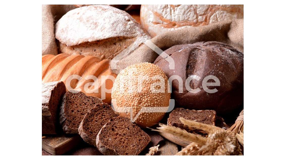 AV boulangerie terminal de cuisson dans le Cantal 