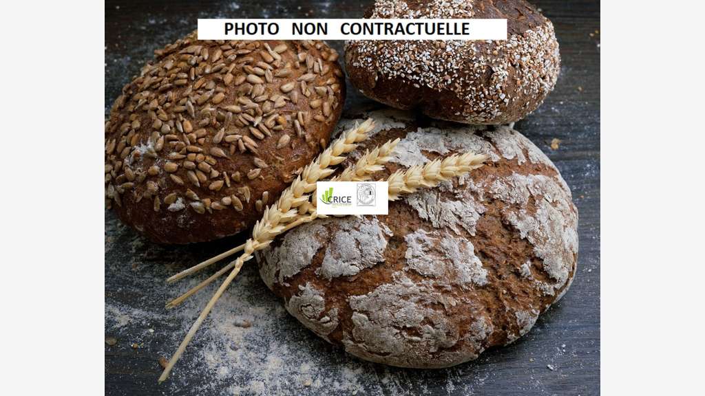 Vente boulangerie pâtisserie en Pays Royannais