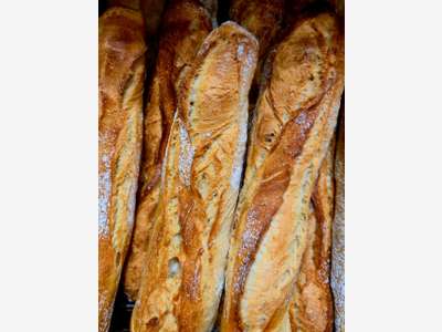 Boulangerie pâtisserie à vendre dans le Gard