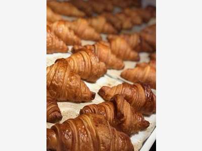 Vente boulangerie pâtisserie empl stratégique Gard
