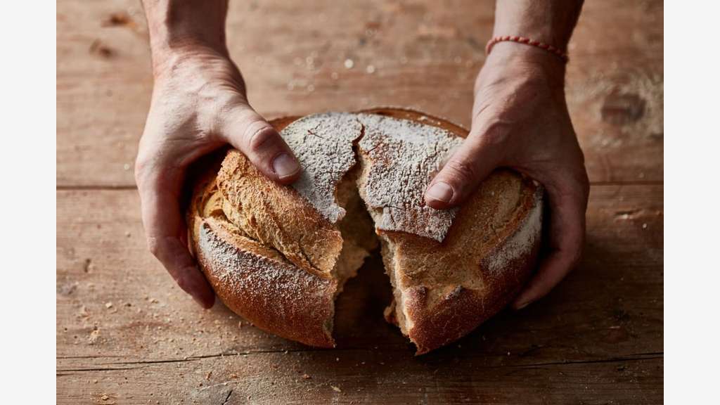 Boulangerie à vendre, Tours, avec logement type F5