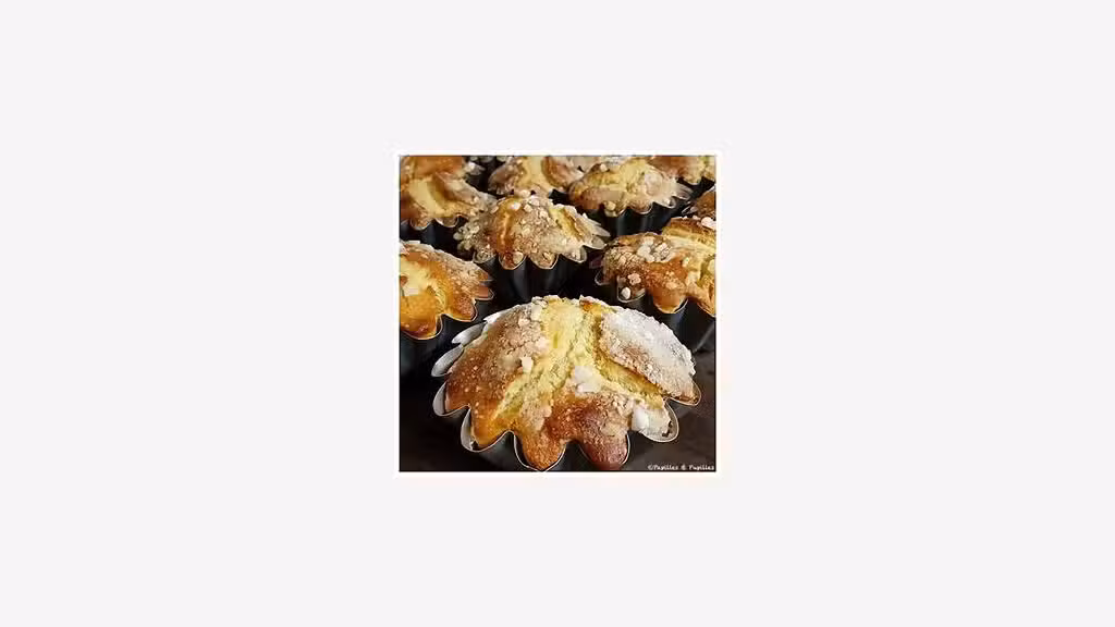Vente belle boulangerie pâtisserie snacking dpt 40