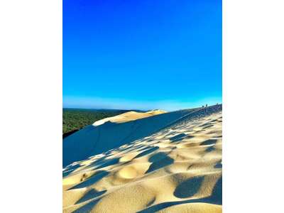 Vente Boulangerie - Pâtisserie à Parentis-en-Born