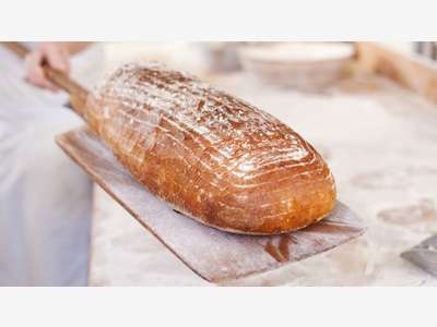 A vendre boulangerie pâtisserie en sud Sarthe