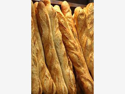 Boulangerie pâtisserie à céder sur Lille