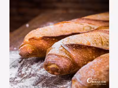 AV très belle boulangerie pâtisserie moderne 56