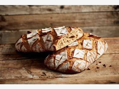 Vente boulangerie, ville dynamique, côte basque