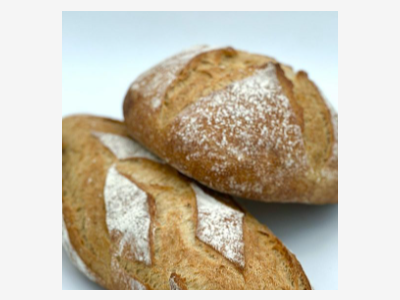 Boulangerie d'exception CA de 2,5 M.€ littoral 66
