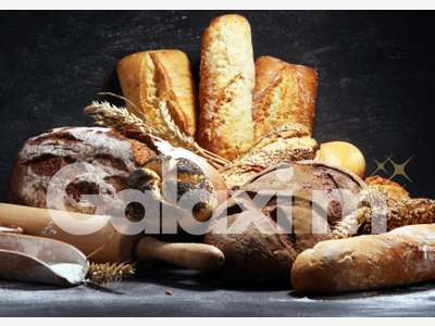 Cède boulangerie artisanale emplacement N°1 Rennes