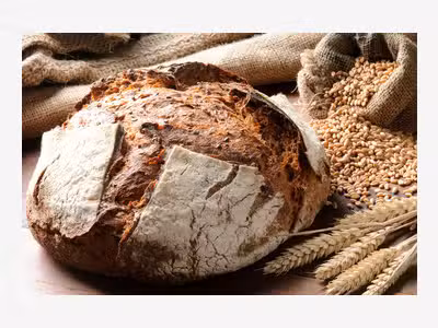 Vente boulangerie-pâtisserie-snacking Landes