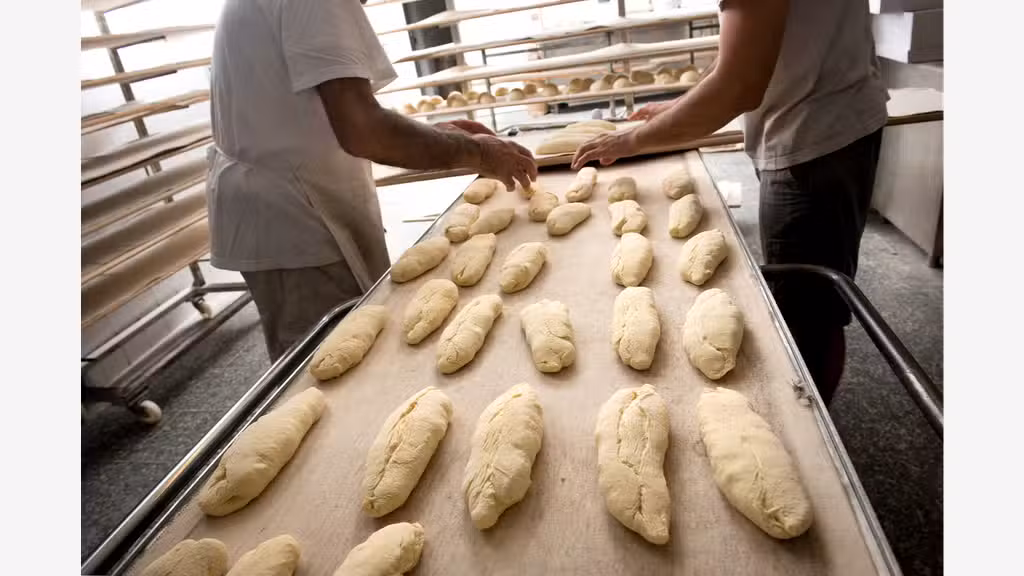 Vente boulangerie pâtisserie snacking à Toulouse