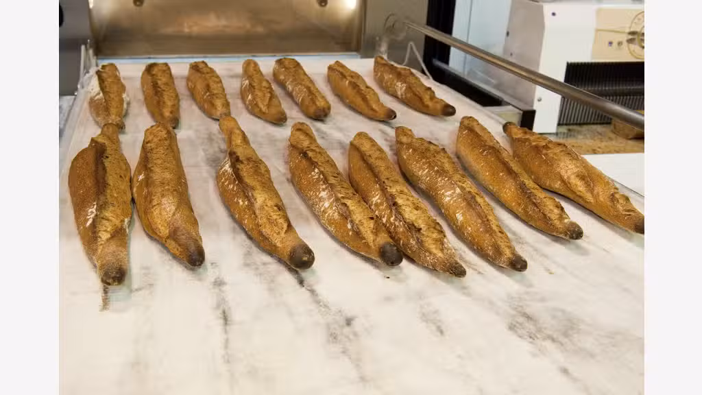 AV boulangerie pâtisserie affaire de gestion Tlse