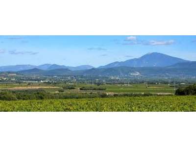 Vente Boulangerie - Pâtisserie à Avignon