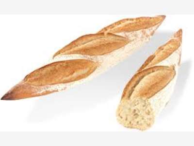 Boulangerie à vendre, VIENNE avec maison + jardin