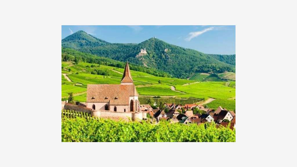 Vente site d’exploitation vinicole 5050m² à Colmar