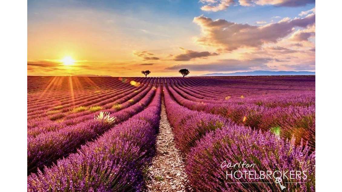 Vente boutique hôtel & SPA en Provence