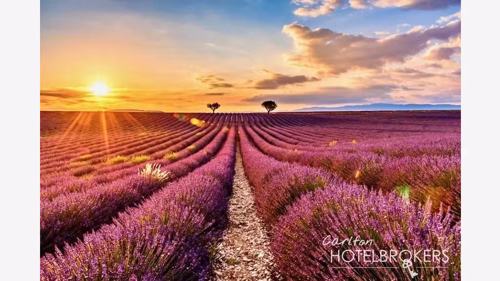 Vente boutique hôtel & SPA en Provence