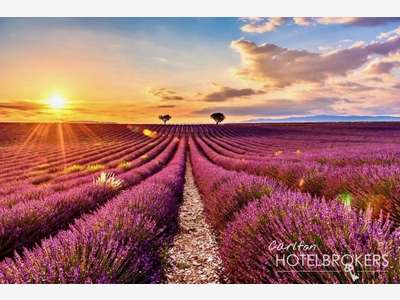 Vente boutique hôtel & SPA en Provence