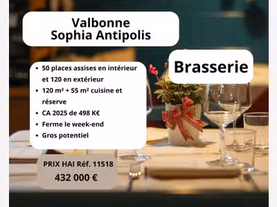 Brasserie grde terrasse Valbonne Sophia Antipolis