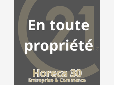 Vente brasserie licence 4 au centre d'Alès