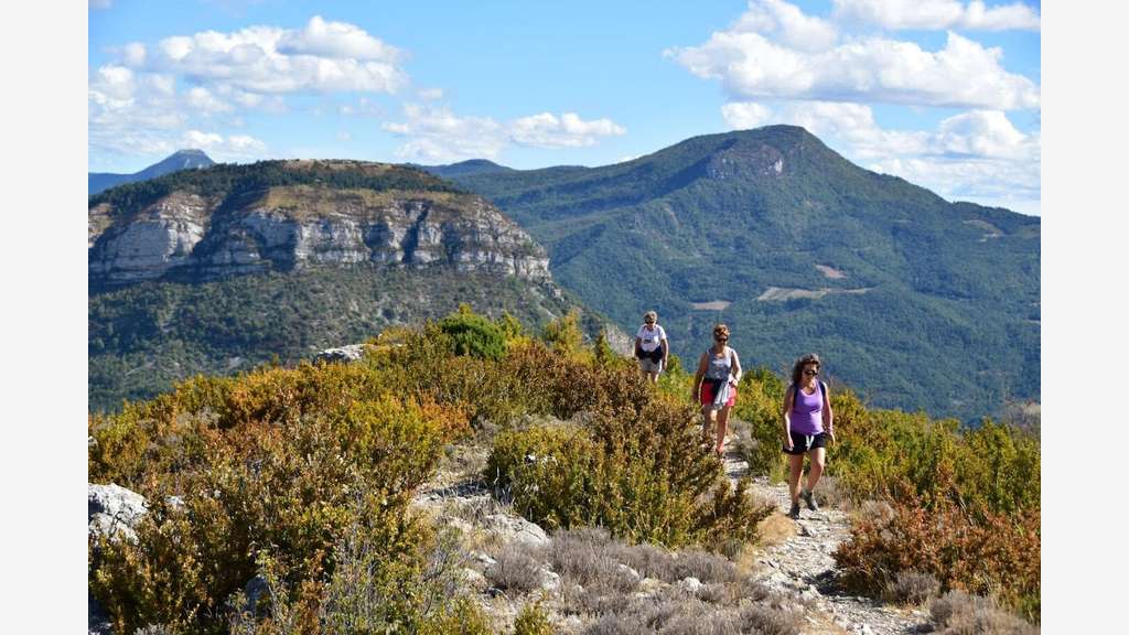 Vente camping **** cœur des baronnies provençales
